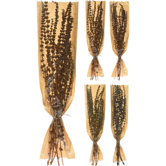 Φύλλα Αποξηραμένα ArteLibre Palang Grass Δεμένα Σε Χάρτινη Θήκη Σε 4 Ποικιλίες