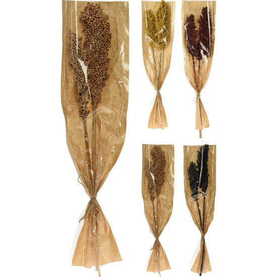 Φύλλα Αποξηραμένα ArteLibre Indian Corn Δεμένα Σε Χάρτινη Θήκη Σε 4 Ποικιλίες