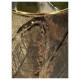 Κηροπήγιο ArteLibre Φύλλα Χρυσό Γυαλί 12x12x15cm