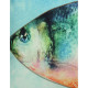 Μαξιλάρι ArteLibre Ψάρι Μπλε Polyester 35x50cm Σετ 2Τμχ