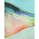 Μαξιλάρι ArteLibre Ψάρι Μπλε Polyester 35x50cm Σετ 2Τμχ