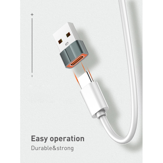 LDNIO αντάπτορας USB σε USB-C LC150, αρσενικό σε θηλυκό, γκρι