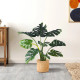 GloboStar® Artificial Garden MONSTERA PLANT 20001 - Τεχνητό Διακοσμητικό Φυτό Μονστέρα Υ85cm