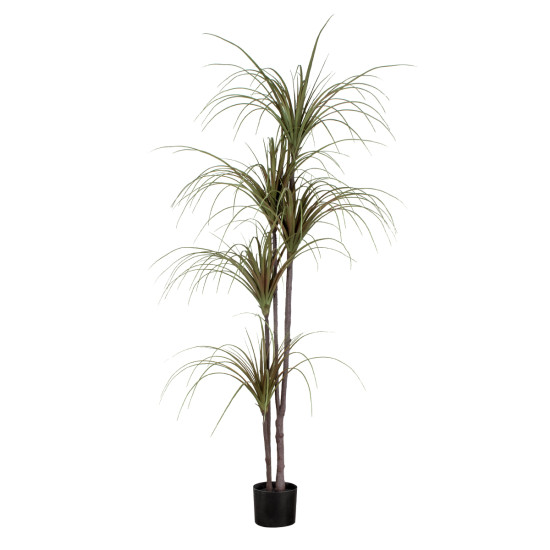 GloboStar® Artificial Garden DRAGON BLOOD TREE 20016 - Τεχνητό Διακοσμητικό Φυτό Δράκαινα Υ180cm