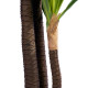 GloboStar® Artificial Garden BRAZILIAN IRON 20021 Τεχνητό Διακοσμητικό Φυτό Αρωματική Δράκαινα Υ180cm