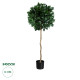 GloboStar® Artificial Garden LAUREL 20084 Τεχνητό Διακοσμητικό Φυτό Δάφνη Υ120cm