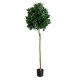 GloboStar® Artificial Garden LAUREL 20085 Τεχνητό Διακοσμητικό Φυτό Δάφνη Υ150cm