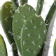 GloboStar® Artificial Garden OPUNTIA FICUS-INDICA CACTUS 20097 Τεχνητό Διακοσμητικό Φυτό Κάκτος Φραγκοσυκιά Υ72cm