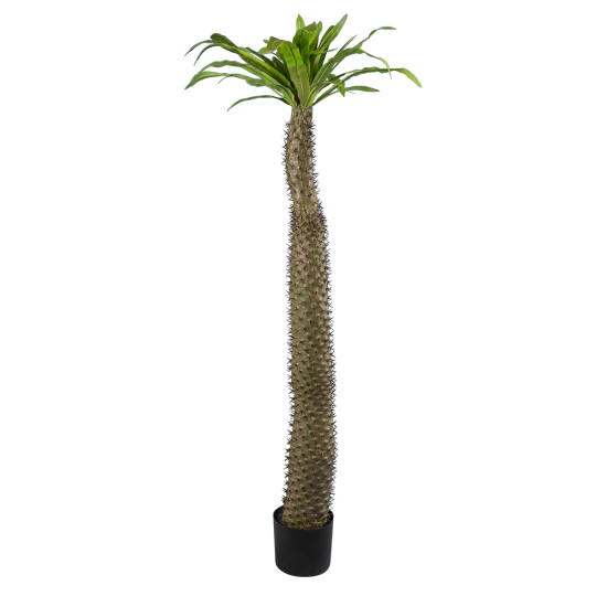 GloboStar® Artificial Garden PACHYPODIUM LAMEREI PALM TREE 20130 Τεχνητό Διακοσμητικό Φυτό Φοίνικας της Μαγαδασκάρης Υ175cm