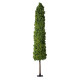 GloboStar® Artificial Garden BUXUS 20158 Τεχνητό Διακοσμητικό Φυτό Πυξός Υ250cm