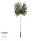 GloboStar® Artificial Garden SERENOA PALM LEAF 20173 Τεχνητό Διακοσμητικό Φύλο Φοινικόδεντρου Σερενόα Βεντάλια Π47 x Υ120cm