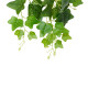 GloboStar® Artificial Garden IVY HANGING BRANCH 20253 Τεχνητό Διακοσμητικό Κρεμαστό Φυτό Κισσός Υ130cm