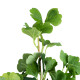 GloboStar® Artificial Garden GINKGO BRANCH 20259 Τεχνητό Διακοσμητικό Κλαδί Γκίγκο Π22 x Υ80cm