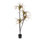 GloboStar® Artificial Garden DRAGON BLOOD TREE 20372 - Τεχνητό Διακοσμητικό Φυτό Δράκαινα Υ180cm