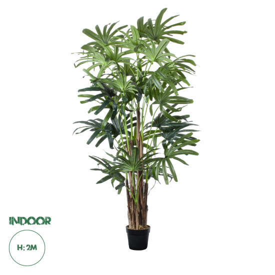 GloboStar® Artificial Garden BROADLEAF LADY PALM TREE 20385 Τεχνητό Διακοσμητικό Φυτό Πλατύφυλλος Φοίνικας Μπαμπού Υ200cm