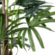 GloboStar® Artificial Garden BROADLEAF LADY PALM TREE 20385 Τεχνητό Διακοσμητικό Φυτό Πλατύφυλλος Φοίνικας Μπαμπού Υ200cm