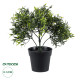 GloboStar® Artificial Garden BABY BAMBOO 20391 Τεχνητό Διακοσμητικό Φυτό Μικρό Μπαμπού Υ30cm