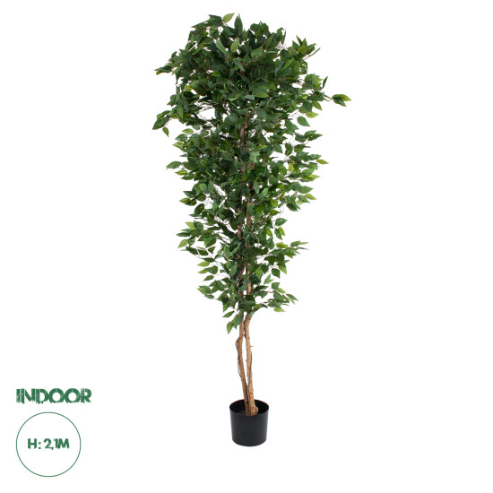 GloboStar® Artificial Garden FICUS BENJAMINA TREE 20417 Τεχνητό Διακοσμητικό Φυτό Φίκος Μπενζαμίνη Υ210cm