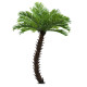 GloboStar® Artificial Garden PHOENIX ROEBELENII PALM TREE 20596 Τεχνητό Διακοσμητικό Φυτό Φοινικόδεντρο Ρομπελίνι Εξωτερικού Χώρου IP68 UV Certified Protection Υ500cm