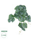 GloboStar® Artificial Garden PEPEROMIA HANGING PLANT 20603 Τεχνητό Διακοσμητικό Κρεμαστό Φυτό Πεπερόμια Υ45cm