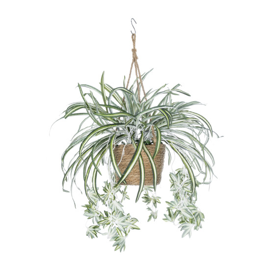 GloboStar® Artificial Garden CHLOROPHYTUM COMOSUM HANGING PLANT 20638 Τεχνητό Κρεμαστό Διακοσμητικό Χλωρόφυτο  Y50cm