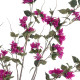 GloboStar® Artificial Garden BOUGAUVILLEA 20676 Τεχνητό Διακοσμητικό Φυτό με Ανθη Μπουκανβίλιας Φουξ Υ180cm