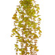 GloboStar® Artificial Garden HANGING EUCALYPTUS 20808 Τεχνητό Διακοσμητικό Κρεμαστό Φυτό Ευκάλυπτος Μ16 x Π9 x Υ105cm