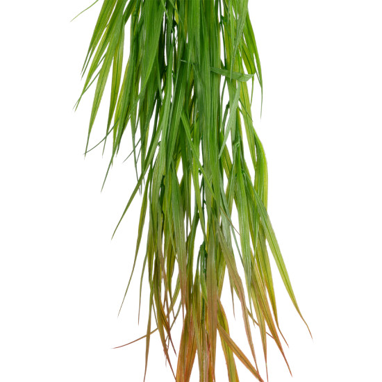 GloboStar® Artificial Garden HANGING CORN GRASS  20826 Τεχνητό Διακοσμητικό Κρεμαστό κλαδί Καλαμπόκι Μ23 x Π10 x Υ91cm