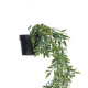 GloboStar® Artificial Garden HANGING GRAPE VINE 20867 Τεχνητό Κρεμαστό Διακοσμητικό Φυτό Αμπελιού Φ20 x Y70cm