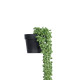 GloboStar® Artificial Garden HANGING LOVER'S TEARS 20875 - Τεχνητό Κρεμαστό Διακοσμητικό Φυτό Lover's Tears Φ14 x Y70cm