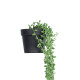 GloboStar® Artificial Garden HANGING LOVER'S TEARS 20882 - Τεχνητό Κρεμαστό Διακοσμητικό Φυτό Lover's Tears Φ15 x Y70cm