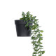 GloboStar® Artificial Garden HANGING EUCALYPTUS LEAF 20884 - Τεχνητό Κρεμαστό Διακοσμητικό Φυτό Φύλλα Ευκάλυπτου Φ17 x Y60cm