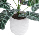 GloboStar® Artificial Garden ALOCASIA 20886 Τεχνητό Διακοσμητικό Φυτό Αλοκασία Φ38 x Υ33cm