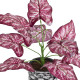 GloboStar® Artificial Garden RED POLKA 20887 Τεχνητό Διακοσμητικό Φυτό Κόκκινη Πόλκα Φ38 x Υ33cm