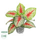 GloboStar® Artificial Garden CALADIUM 20891 Τεχνητό Διακοσμητικό Φυτό Τροπικό Φυτό Φ40 x Υ33cm