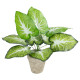 GloboStar® Artificial Garden CALADIUM POTTED PLANT 20894 Διακοσμητικό Φυτό Καλάντιουμ Φ40 x Υ33cm