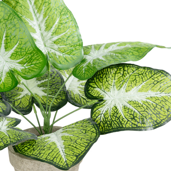 GloboStar® Artificial Garden CALADIUM POTTED PLANT 20894 Διακοσμητικό Φυτό Καλάντιουμ Φ40 x Υ33cm