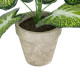 GloboStar® Artificial Garden CALADIUM POTTED PLANT 20894 Διακοσμητικό Φυτό Καλάντιουμ Φ40 x Υ33cm