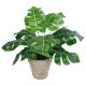 GloboStar® Artificial Garden MONSTERA POTTED PLANT 20895 - Διακοσμητικό Φυτό Μονστέρα Φ40 x Υ33cm