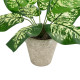 GloboStar® Artificial Garden DIEFFENBACHIA POTTED PLANT 20897 Διακοσμητικό Φυτό Διεφενμπάχια Φ40 x Υ33cm