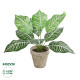 GloboStar® Artificial Garden ZEBRA POTTED PLANT 20898 Διακοσμητικό Φυτό Ζέμπρα Φ40 x Υ33cm