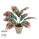 GloboStar® Artificial Garden RED AGLAONEMA POTTED PLANT 20901 Διακοσμητικό Φυτό Κόκκινο Αγλαόνημα Φ40 x Υ33cm