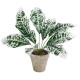 GloboStar® Artificial Garden WHITE AGLAONEMA POTTED PLANT 20903 Διακοσμητικό Φυτό Λευκό Αγλαόνημα Φ40 x Υ33cm