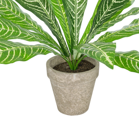 GloboStar® Artificial Garden  ZEBRA POTTED PLANT 20906 Διακοσμητικό Φυτό Ζέμπρα Φ40 x Υ33cm