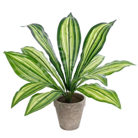 GloboStar® Artificial Garden  DRACAENA POTTED PLANT 20907 Διακοσμητικό Φυτό Δράκενα Φ40 x Υ33cm