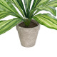 GloboStar® Artificial Garden  DRACAENA POTTED PLANT 20907 Διακοσμητικό Φυτό Δράκενα Φ40 x Υ33cm