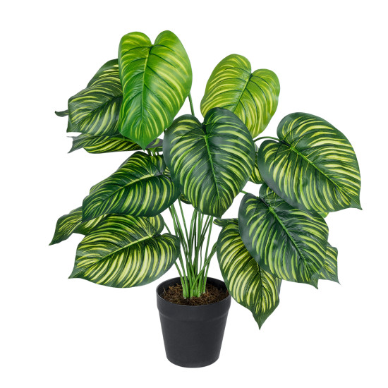 GloboStar® Artificial Garden CALATHEA PLANT 20912 Διακοσμητικό Φυτό Καλαθέα Φ55 x Υ75cm