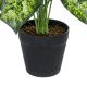 GloboStar® Artificial Garden DIEFFENBACHIA PLANT 20914 Διακοσμητικό Φυτό Διφενμπάχια Φ58 x Υ75cm