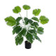 GloboStar® Artificial Garden WHITE HOSTA PLANT 20920 Διακοσμητικό Φυτό Λευκή Χόστα Φ87 x Υ80cm