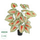 GloboStar® Artificial Garden CALADIUM PLANT 20921 Διακοσμητικό Φυτό Καλάντιουμ Φ75 x Υ80cm